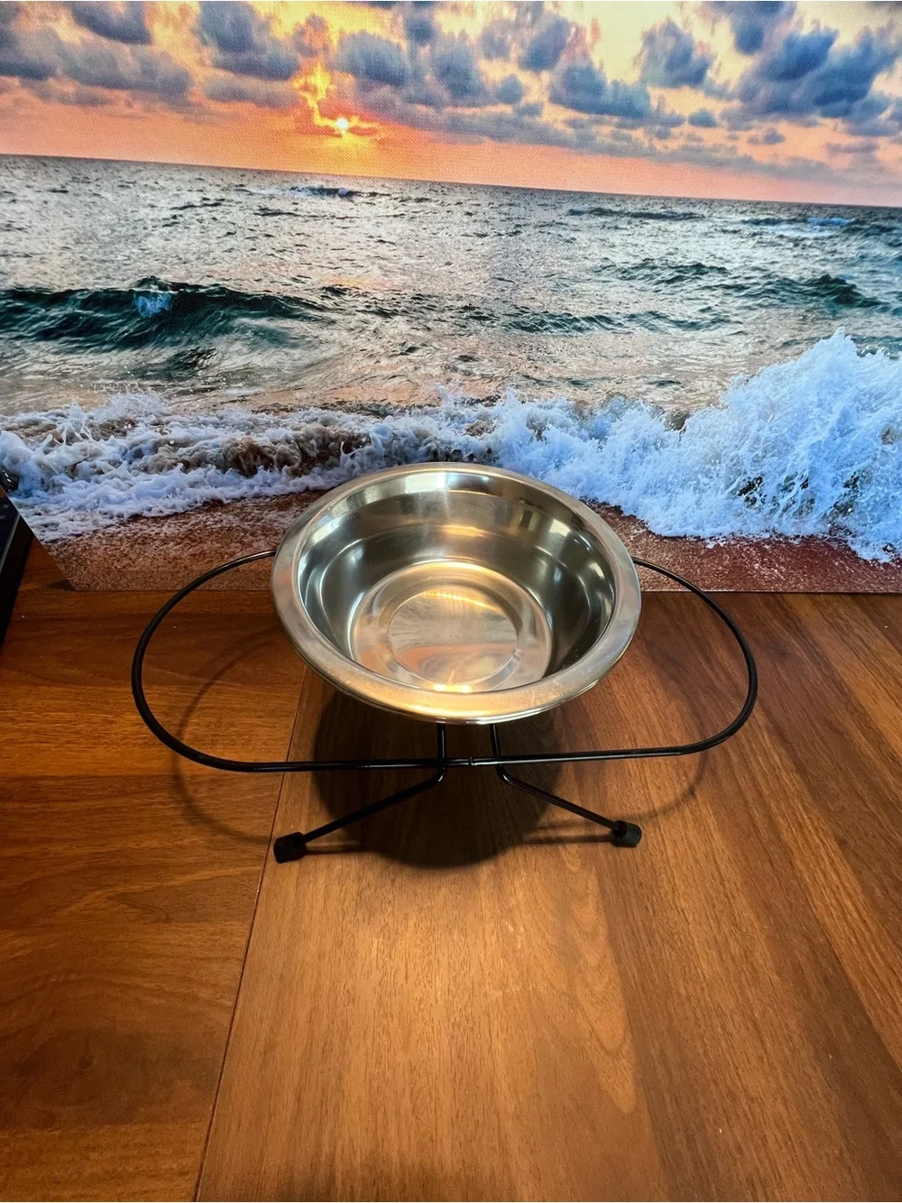 Double Stainless Steel Pet Bowl Set with Black Elevated Stand